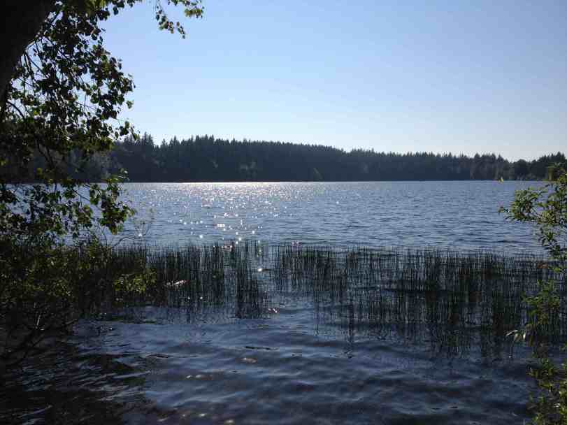 View at Lake Padden